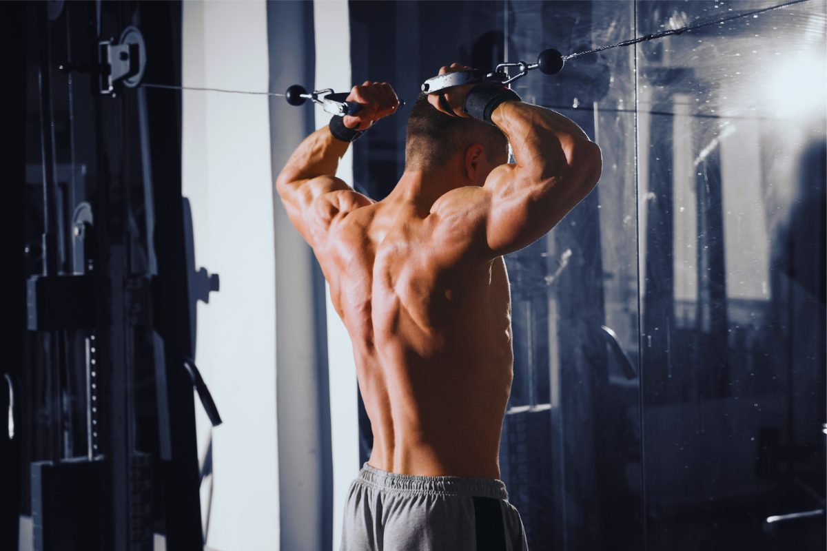 beste rug oefeningen